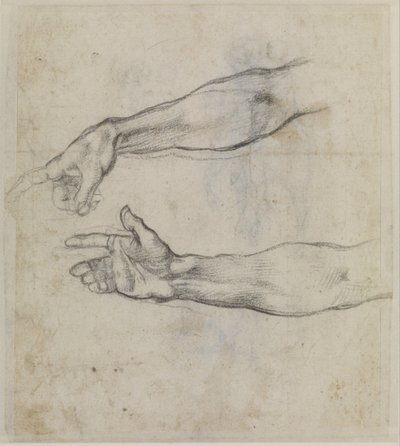 Studies of an outstretched arm for the fresco The Drunkenness of Noah in the Sistine Chapel by Michelangelo Buonarroti